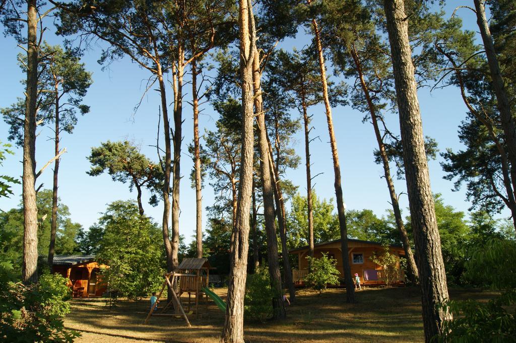 Dom Wczasowy Nadrzecze Bed & Breakfast Brok Luaran gambar